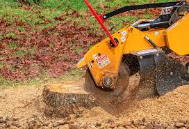 Best Tree and Shrub Care  in Sterling, GA